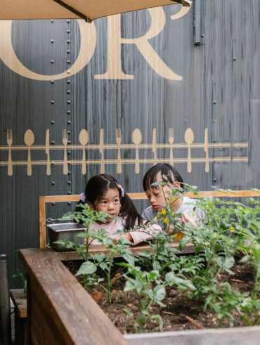 choisir la grande jardinière en bois idéale pour votre jardin