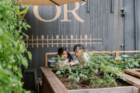 choisir la grande jardinière en bois idéale pour votre jardin