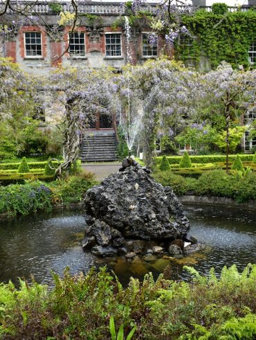 Les meilleures plantes aquatiques pour embellir votre bassin
