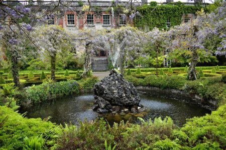 Les meilleures plantes aquatiques pour embellir votre bassin