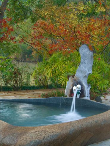 guide pratique pour Créer un bassin dans son jardin