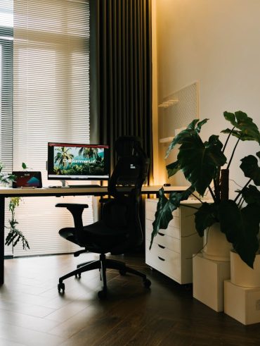 grande plante d'intérieur à choisir pour un espace sans lumière